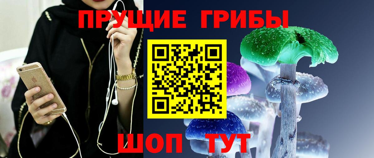 Псилоцибиновые грибы Cubensis  Вход с VPN  Владимир 
